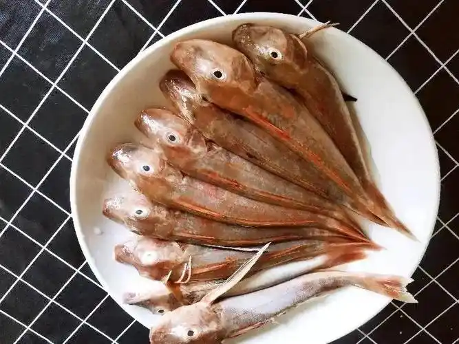春天,10种便宜又好吃的海鱼,海鲜市场遇到别错过,内行都懂