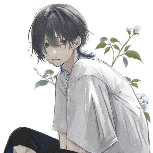 动漫男头.(自己已图片精修过)