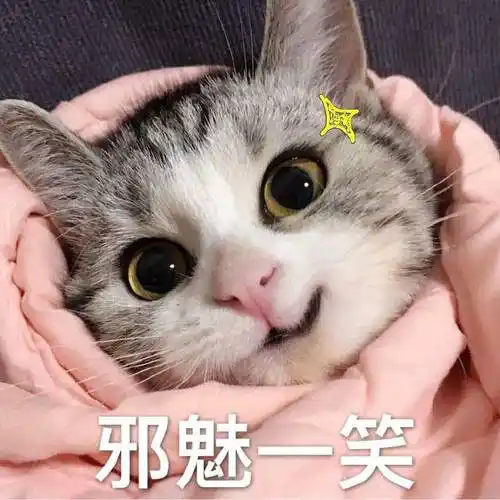 邪魅一笑 - 喵星人表情包系列_猫咪表情