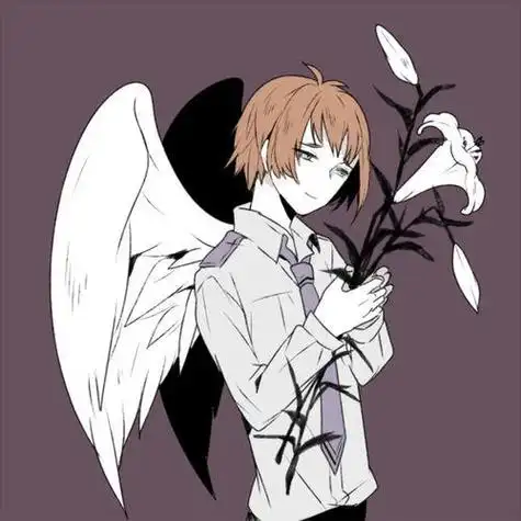 有翅膀的男生头像动漫人物图片