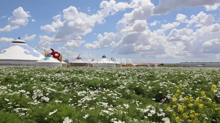 希拉穆仁——一个让你难忘的草原 - 希拉穆仁草原旅游牧民接待中心