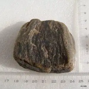 玛瑙质水冲硅化木 树化玉 天然石头 木化石原石 189克