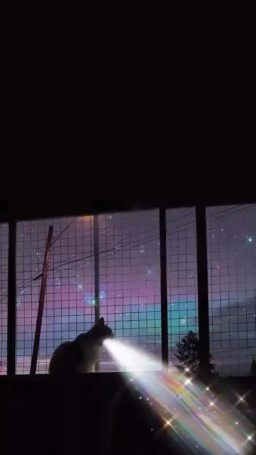 壁纸抖音最火的封面图用上它你就是朋友圈最靓的仔