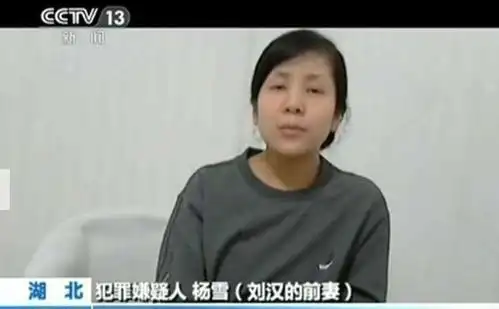 身价400亿, 豪捐5000万, 生前染指12女星的刘汉, 死后妻子才道出真相