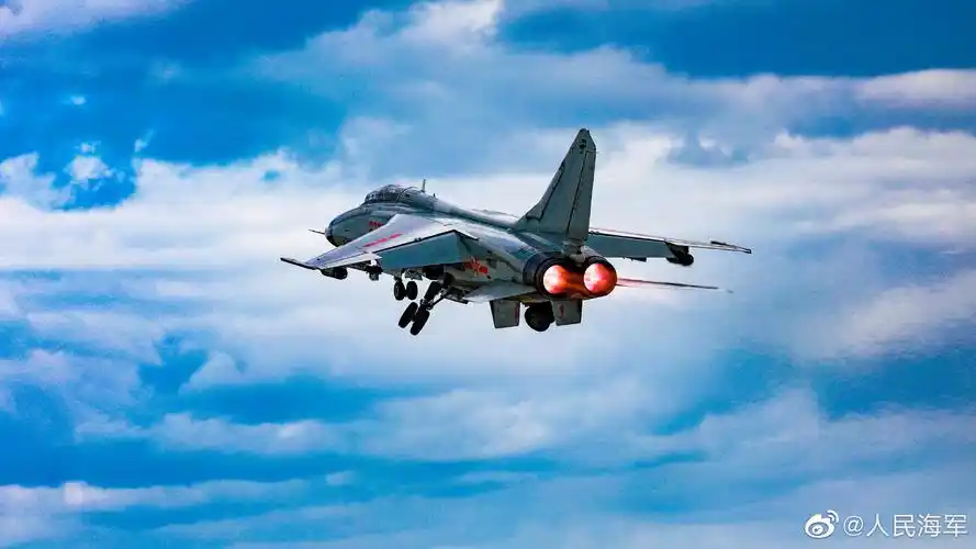 飞豹战机大象漫步瞬间