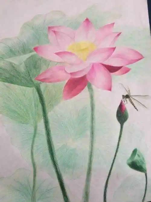 儿童水彩画荷花儿童水彩画荷花画法步骤