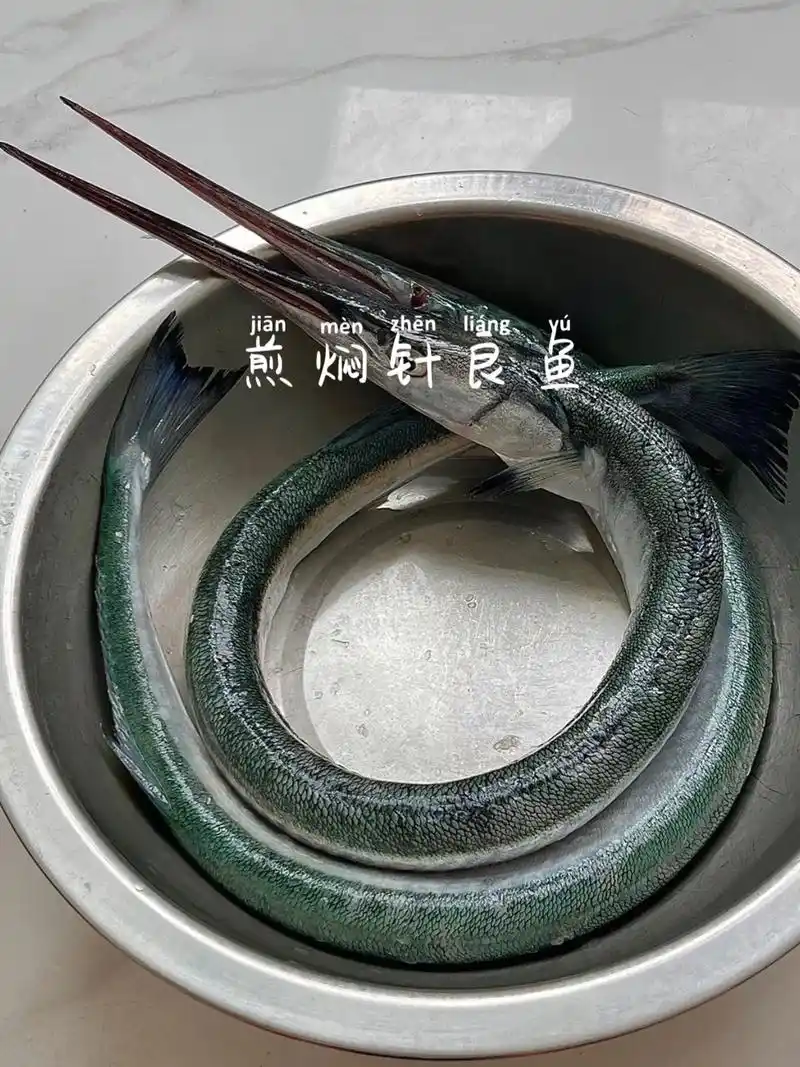 煎焖针良鱼.针鱼又名针良鱼,双针鱼,青条,鹤嘴鱼其拥有的绿颜 - 抖音