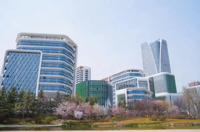 豆瓣81张若昀警察荣誉越看越上火但它背后这座城小清新又接地气