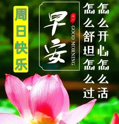 客户),周日最新早上好暖心问候语短信,1月最美的早安祝福温馨文字图片