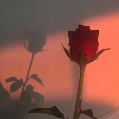 输入法壁纸 朋友圈背景.