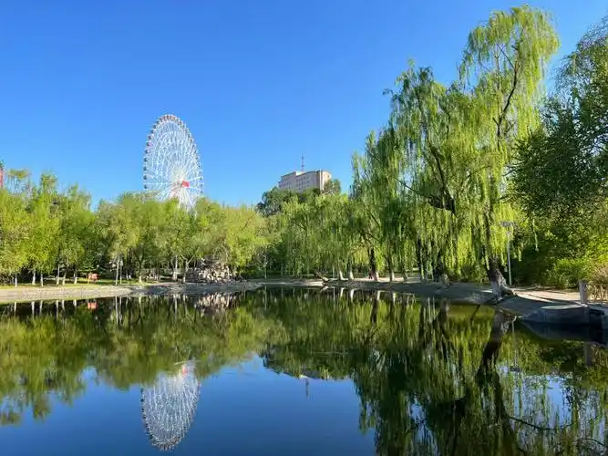 长春市胜利公园～晨练