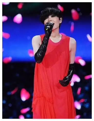 张柏芝旧照被赞清纯,而王菲四次上春晚照才是逆生长