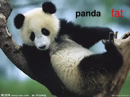 无忧文档 所有分类 小学教育 英语 外研版三年级下册第二模块they_are