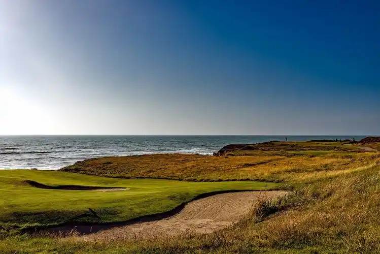 水, 蓝天, 自然, 风景, 草, 领域, 地平线, 草地