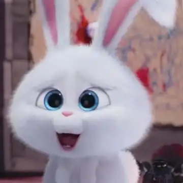 爱宠大机密兔子头像高清图爱宠小白兔头像图片